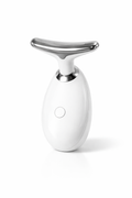 Sculpteur de Visage